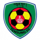 Logo Tensung FC