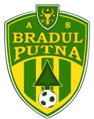 Logo Bradul Putna