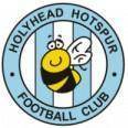 Logo Holyhead