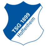 Logo TSG Hoffenheim Youth